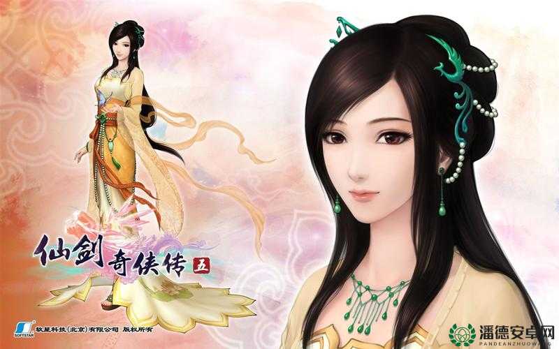 仙剑5破解补丁全集，资源管理技巧、高效利用策略及价值最大化指南