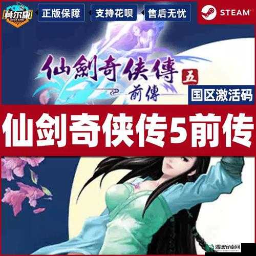仙剑奇侠传5游戏安装过程中常见问题及详细解决方案指南