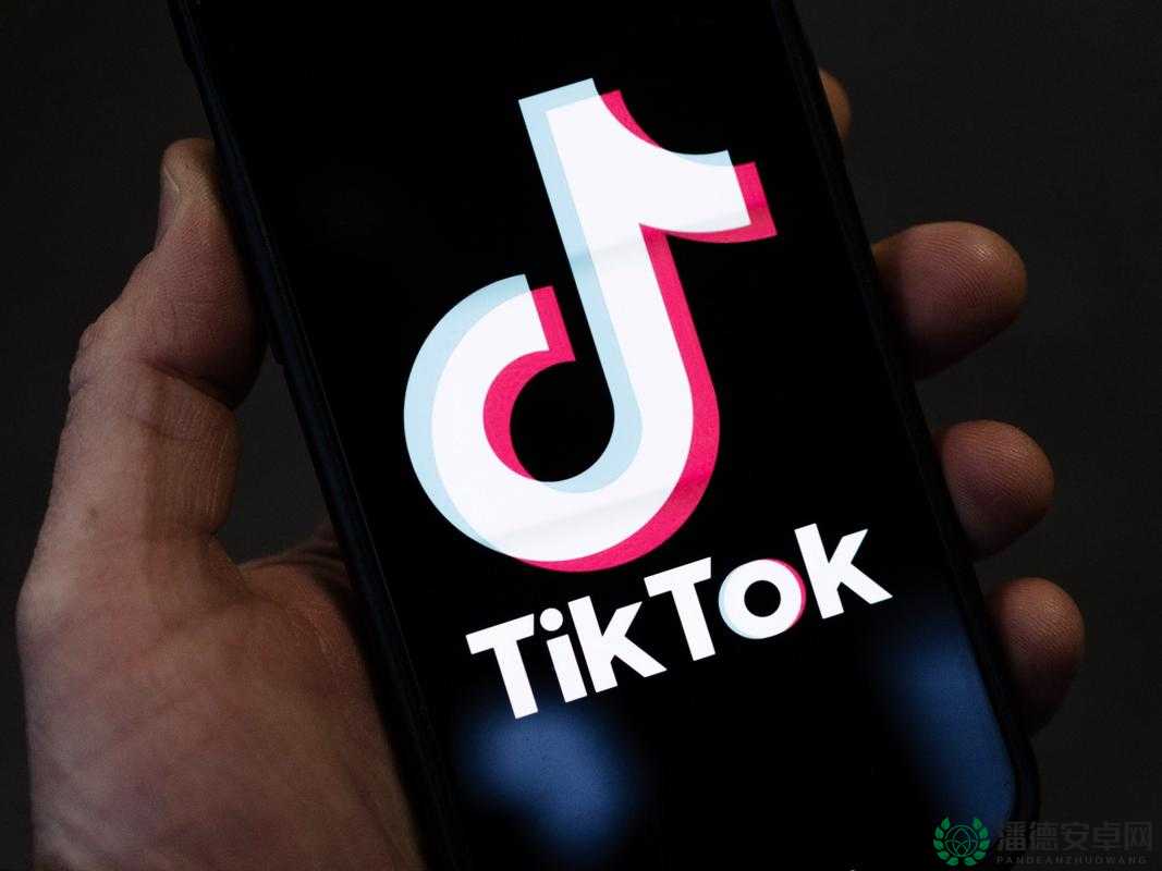 海外 Tiktok 免费版：畅享全球精彩无极限