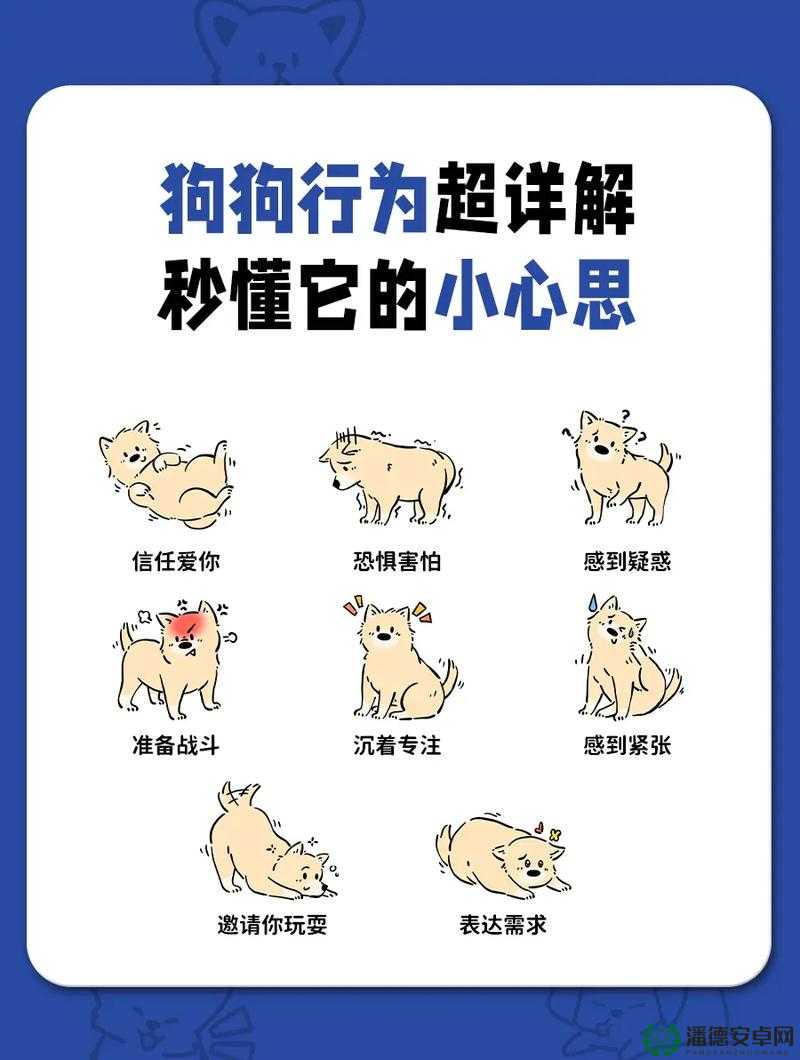 M 像狗一样爬行令人咋舌的奇特行为