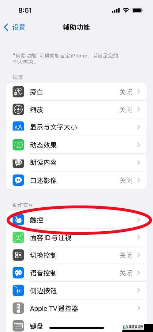 苹果怎么下载 51：详细步骤和注意事项
