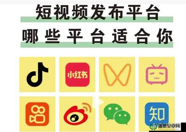 抖音成年短视频 app ios 带你领略不一样的精彩世界