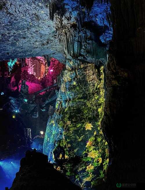 仙踪林welcome潮水：带你走进梦幻般的神秘世界