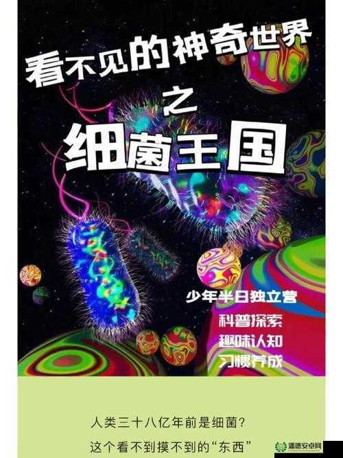 国精产品 w灬1h855c：探索未知的神奇世界