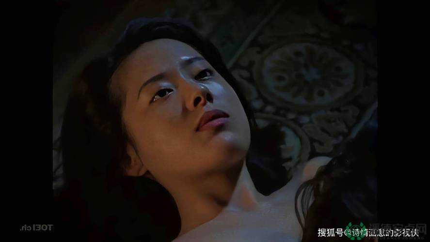 hd 成人免费电影：激情演绎，无尽享受