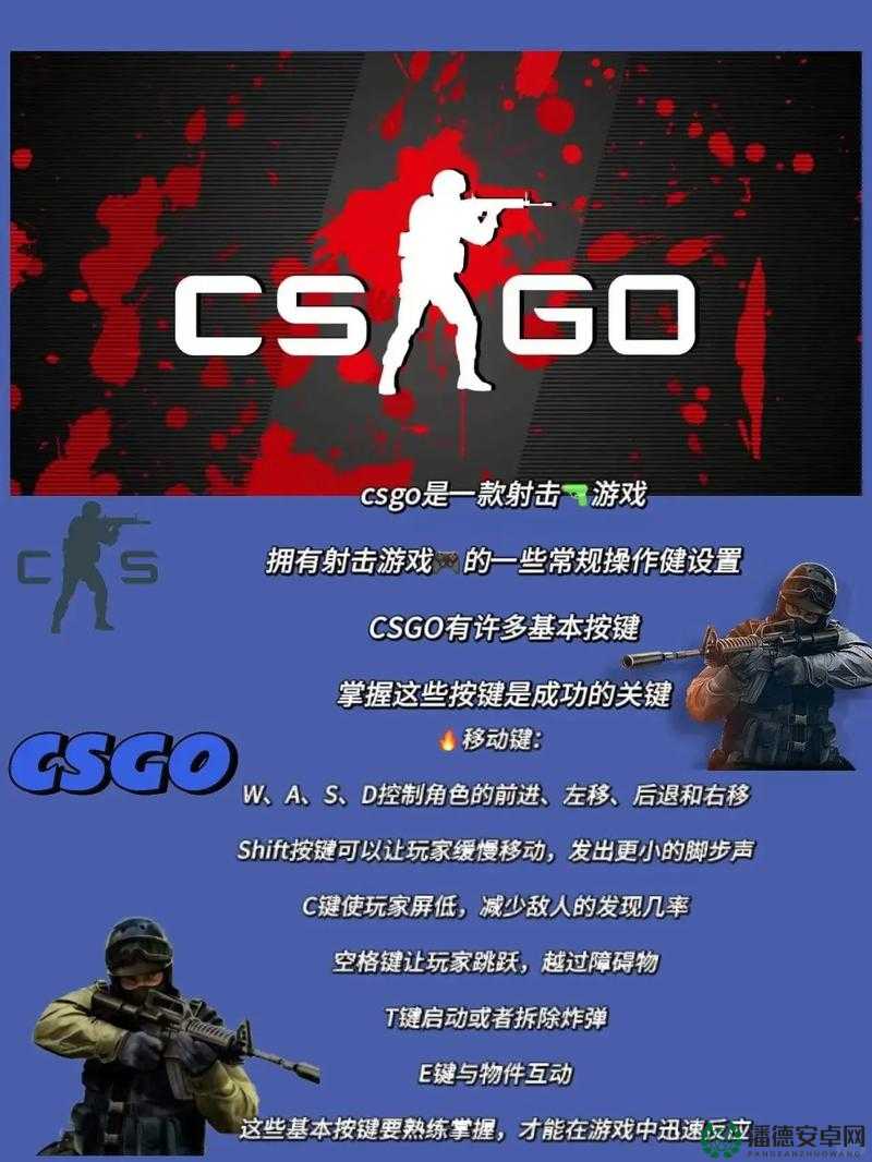 老外免费CSGO的软件有哪些：全面解析与详细介绍