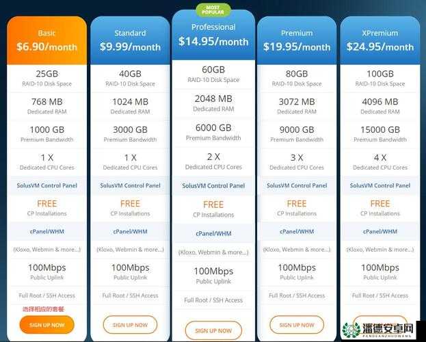 欧美 vps 与 windows 性能比较 45：两者具体差异详细解析