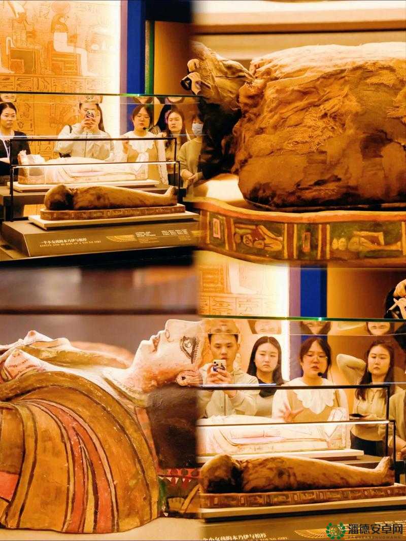 顶尖大但人文艺术展览 2023：一场不容错过的艺术盛宴