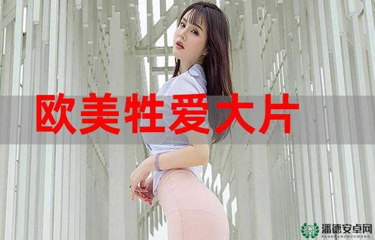欧美日韩黄之独特魅力与文化探索