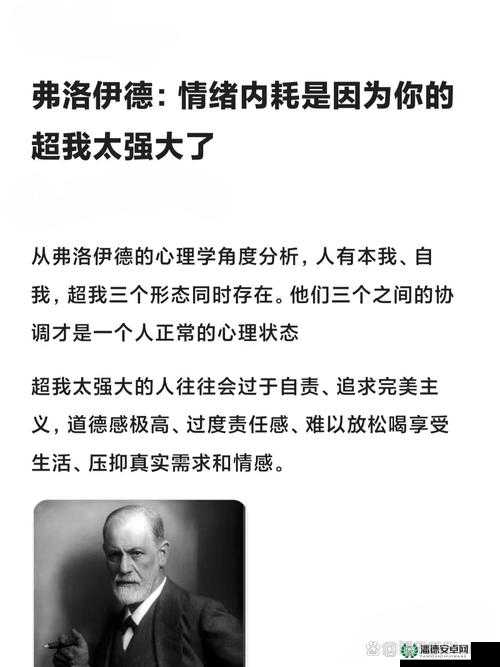 就要鲁就要鲁：一场关于欲望与满足的挑战