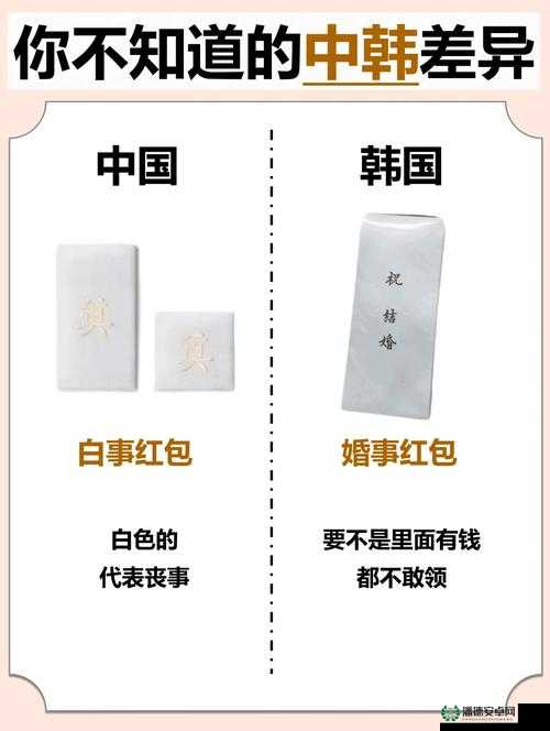 日韩一分区和二分区的区别：文化、经济与社会特点大不同
