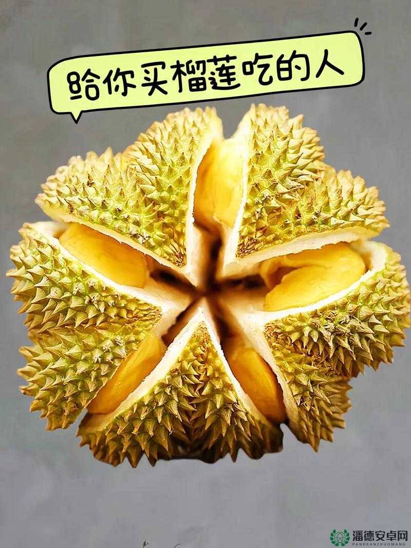 榴莲视频下载安装无限看视频下载：带你体验精彩无限的视频世界