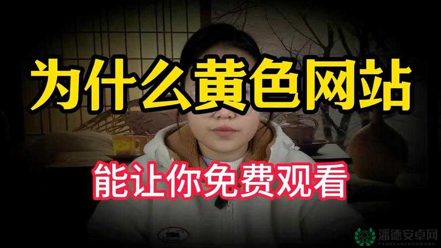 亚洲日韩黄色成人内容：探索日韩成人文化的多样性