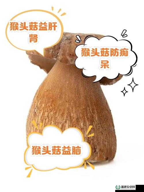 爷爷的蘑菇头好吃吗：关于爷爷蘑菇头味道的深入探讨