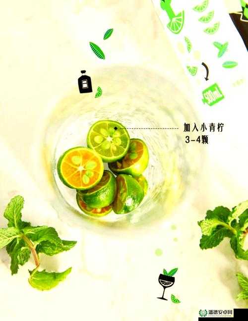 freetime：享受自由时光的秘诀
