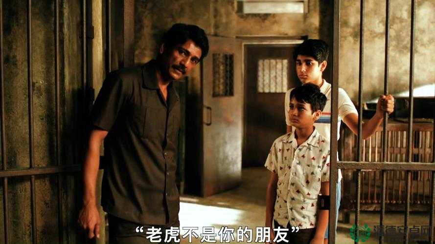 披风少年的奇幻冒险之旅和他的成长故事