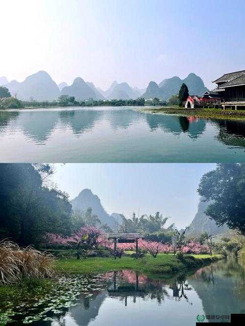水蜜桃仙踪林的梦幻之旅：探寻那片独特的桃林仙境