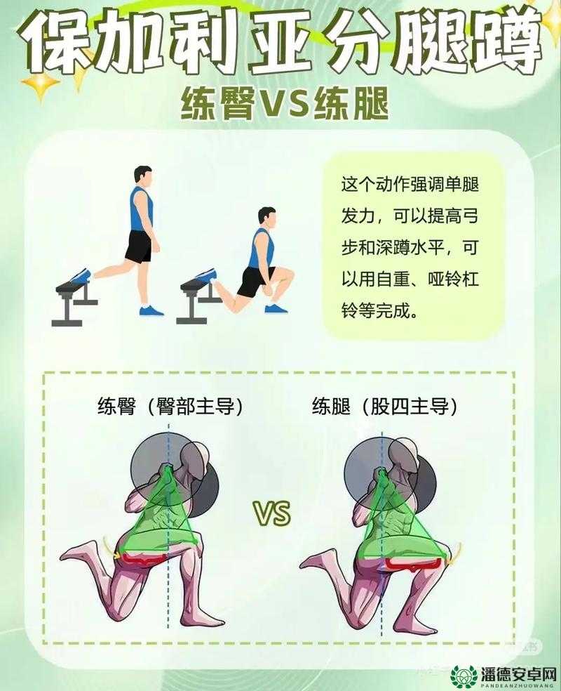 学生练腿的动作包括深蹲、箭步蹲、腿弯举等多种训练方式