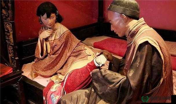 古代少妇性饥渴：XXXXXXHD 背后的故事