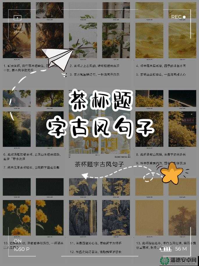 清茗学院水韵仙奴大结局：爱恨纠葛终落定