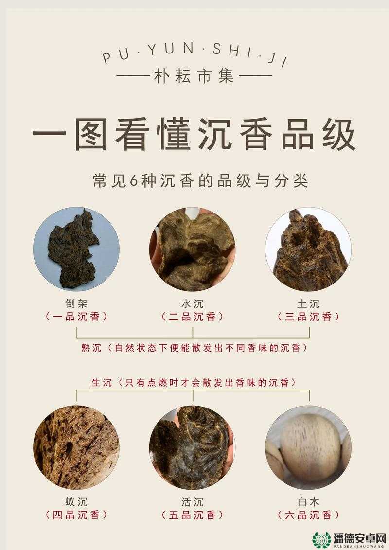 沉香产区的一线二线区分-详细介绍与深入解读及特点分析