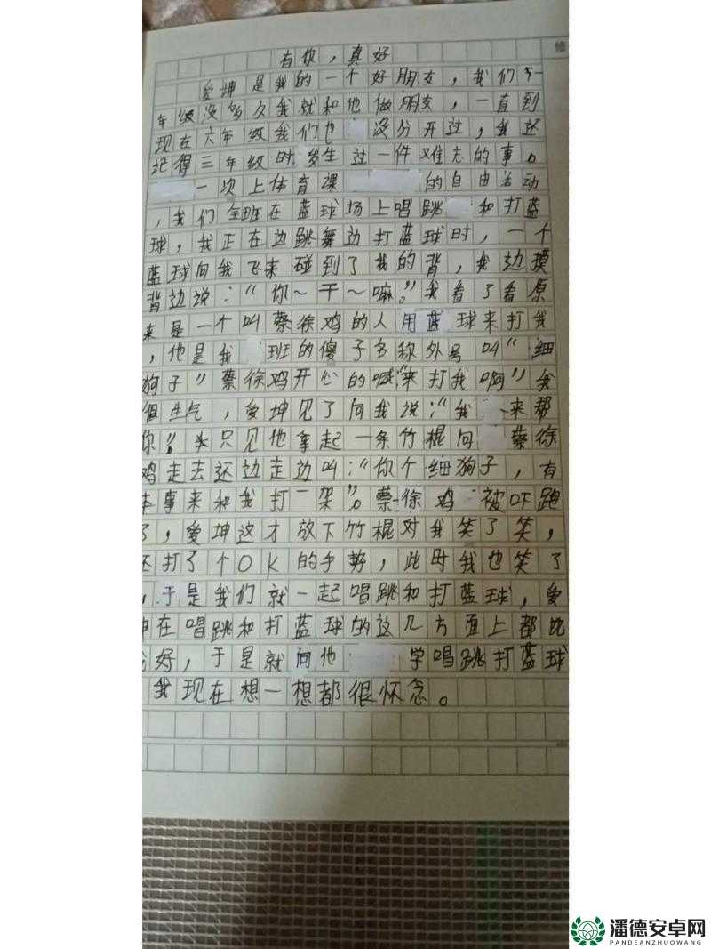 男生将坤坤申请女生的定眼作文：关于这一奇特现象的深入探讨与分析