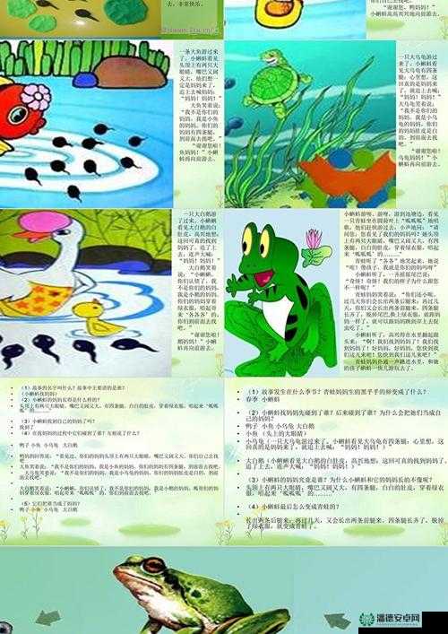 关于蝌蚪窝老肥的那些独特故事与经历