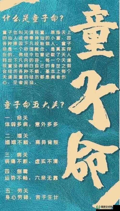 子神的独特含义及其在文化中的重要阐释
