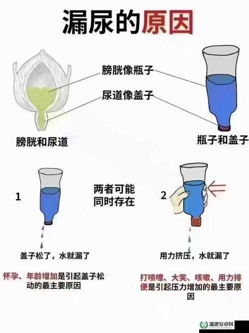 喝利尿剂后不准小便且按压小腹的奇特行为探究