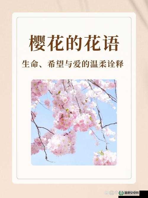 樱花官网官方进入：带你领略不一样的精彩世界