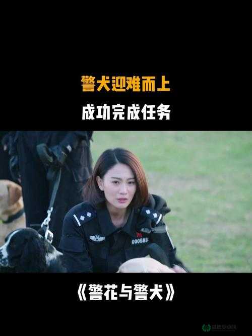 张警犬三部曲在哪里之探寻其背后的故事与意义