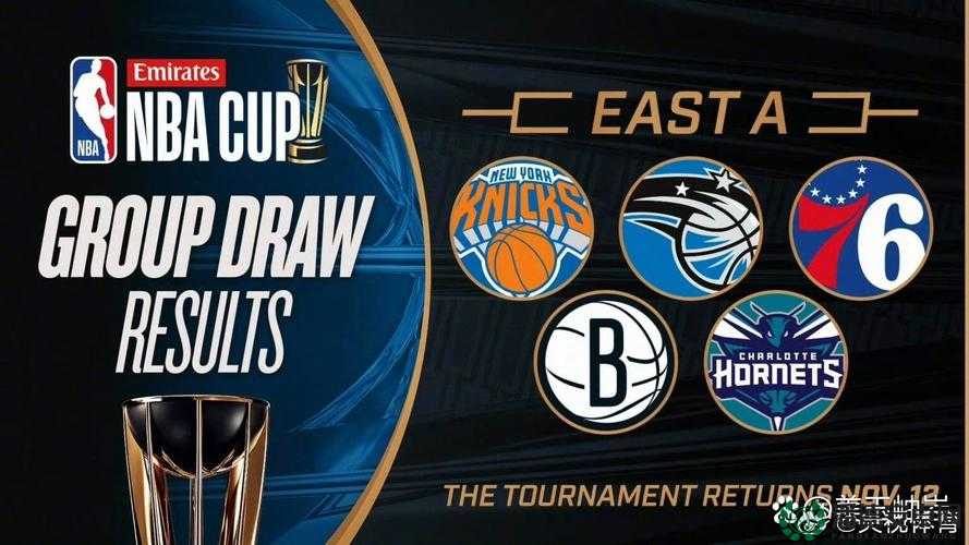 NBAJS 在线观看免费观看：带你畅享精彩赛事无需付费