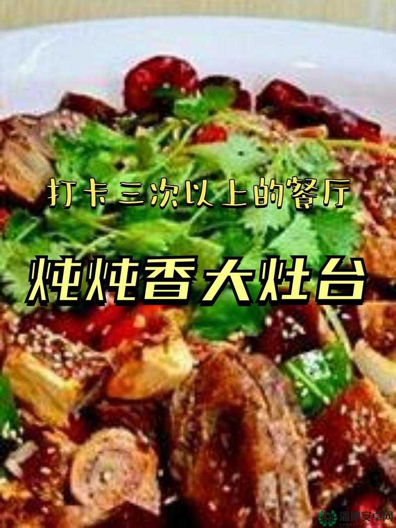 大香煮 2024：一人一煮，畅享独特美味