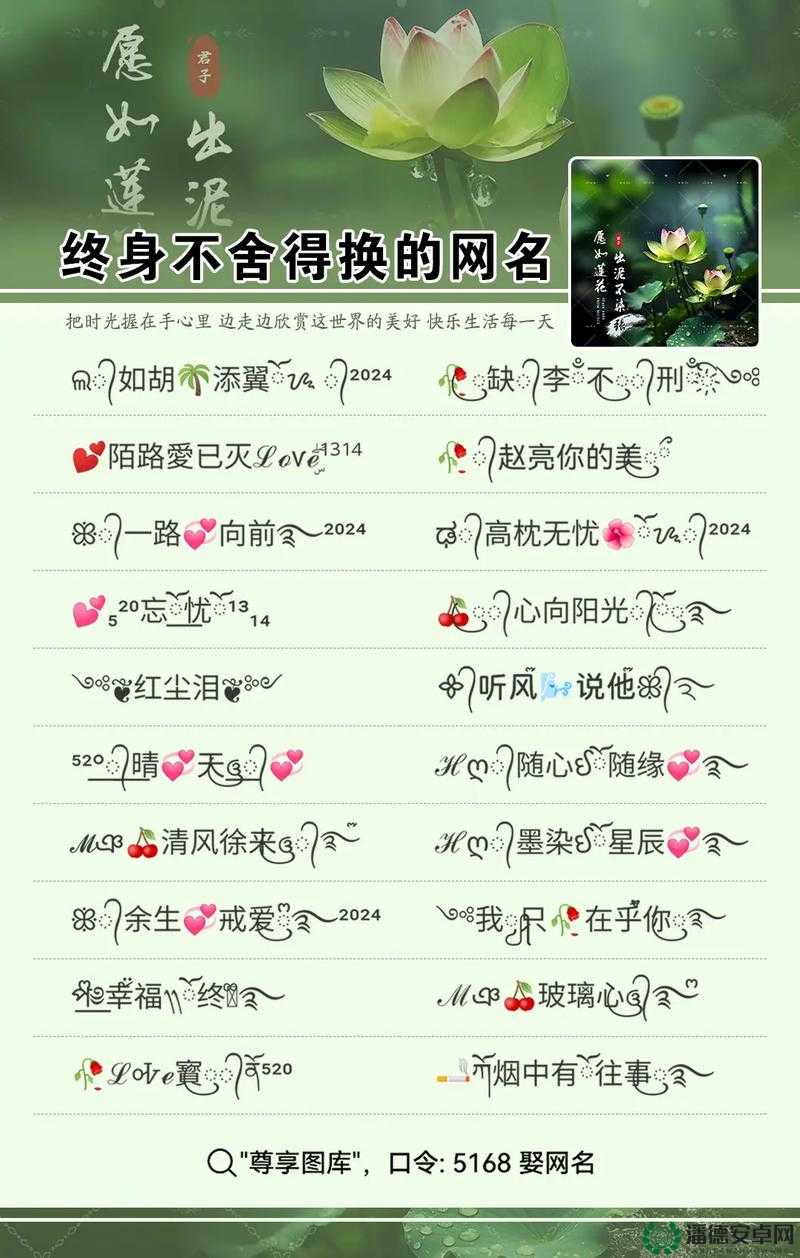 4 虎 tv 换哪个网名了：探寻背后的神秘与未知变化