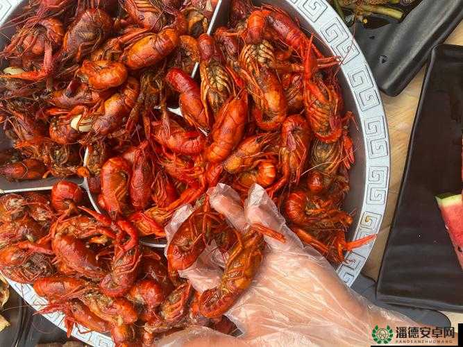 每天在汆肉中醒来攻略：畅享美食与奇妙梦境之旅