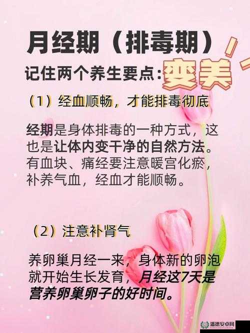 小雅大爷是在帮你排毒后续：关于这件事的深入探讨与分析