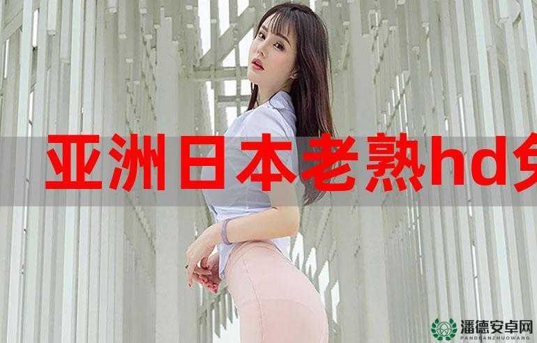 91 留学生爱洋吊 XXXHD：一场跨越文化的情感纠葛