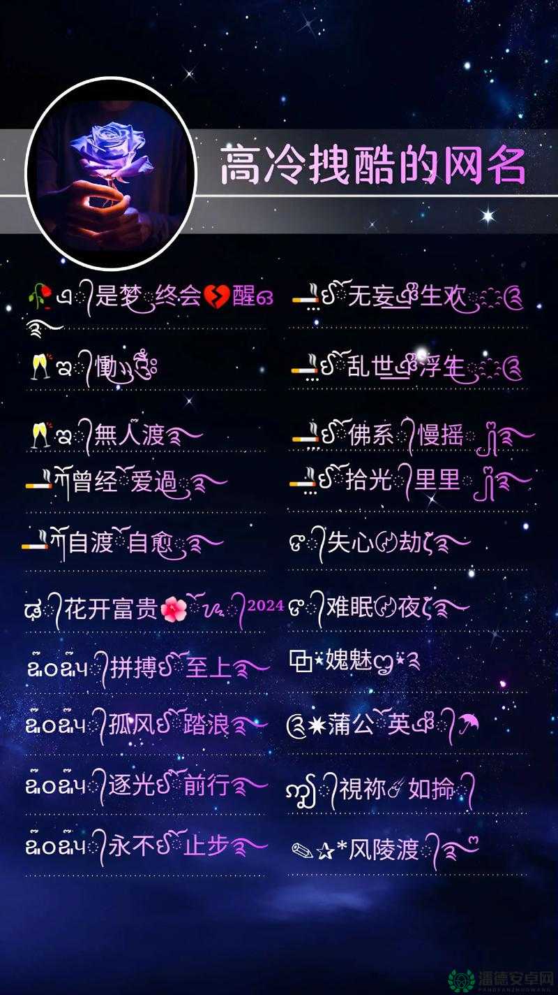 17c 永久网名：探索互联网世界的独特标识与无限可能