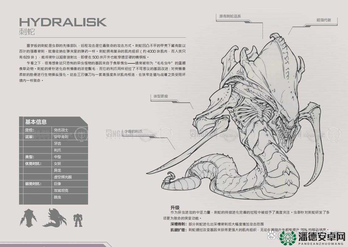 星际争霸2虫族如何巧妙开局并高效经营赢得最终胜利？