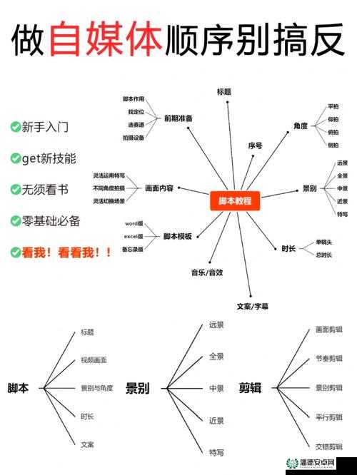 创造安装序列号问题，历史演变中隐藏着哪些未解之谜？