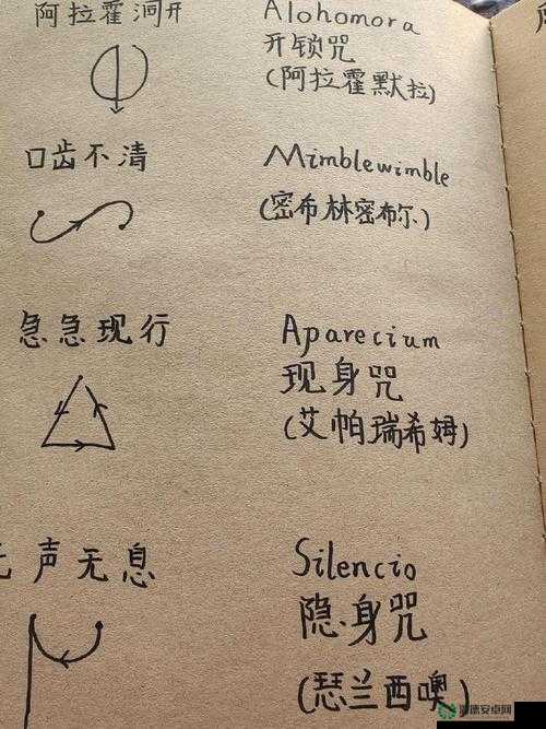 哈利波特与凤凰社，施咒方法及其深度具体操作究竟如何？