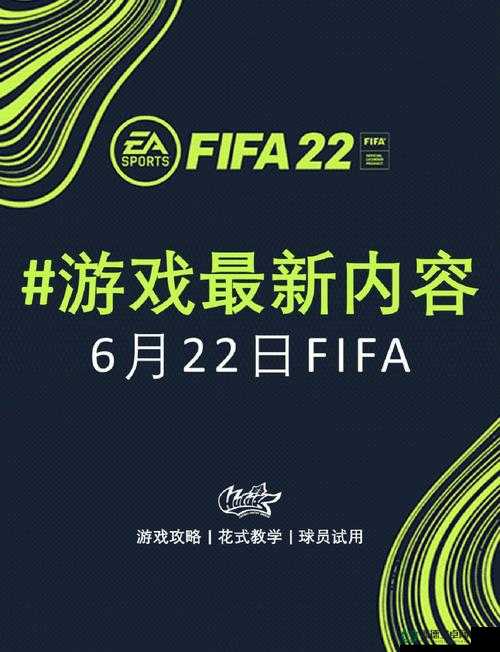 FIFA 11 键位设置图详解在哪里？玩法创新与玩家适配遇难题？
