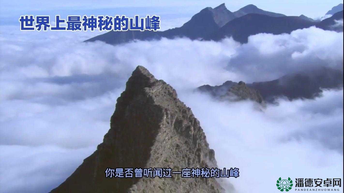 探索 yw1168 最新网背后的神秘世界与精彩故事