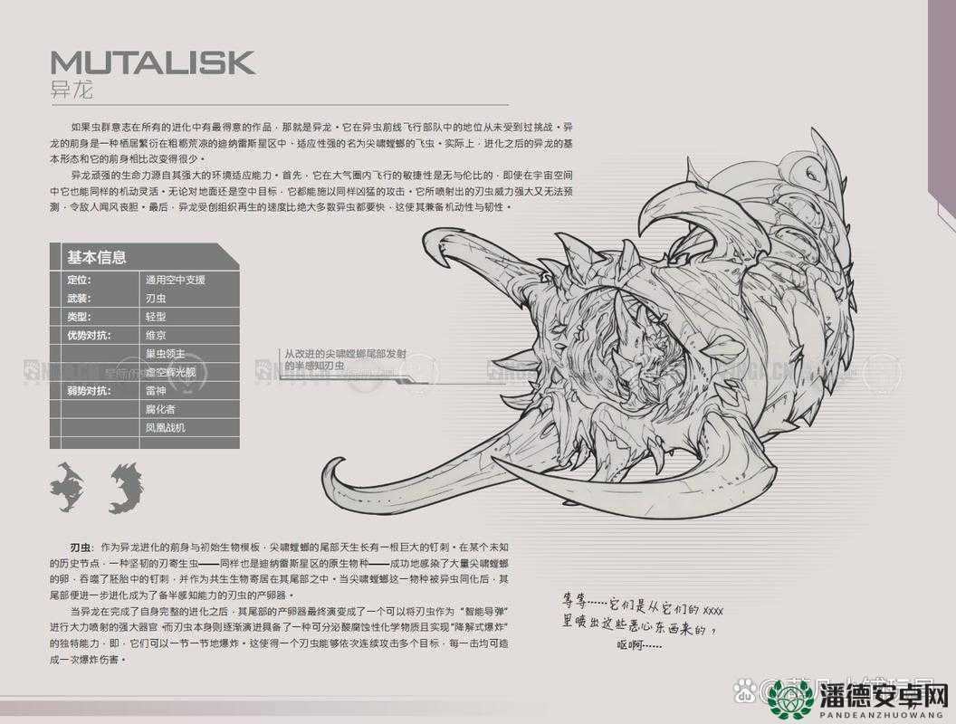 星际争霸2虫族开局有何绝技？揭秘策略、探索与个性化适配的奥秘