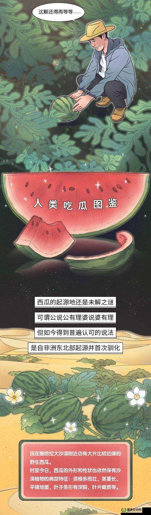 51cg 热门大瓜今日吃瓜-往期回顾之精彩内容全览与深度解析