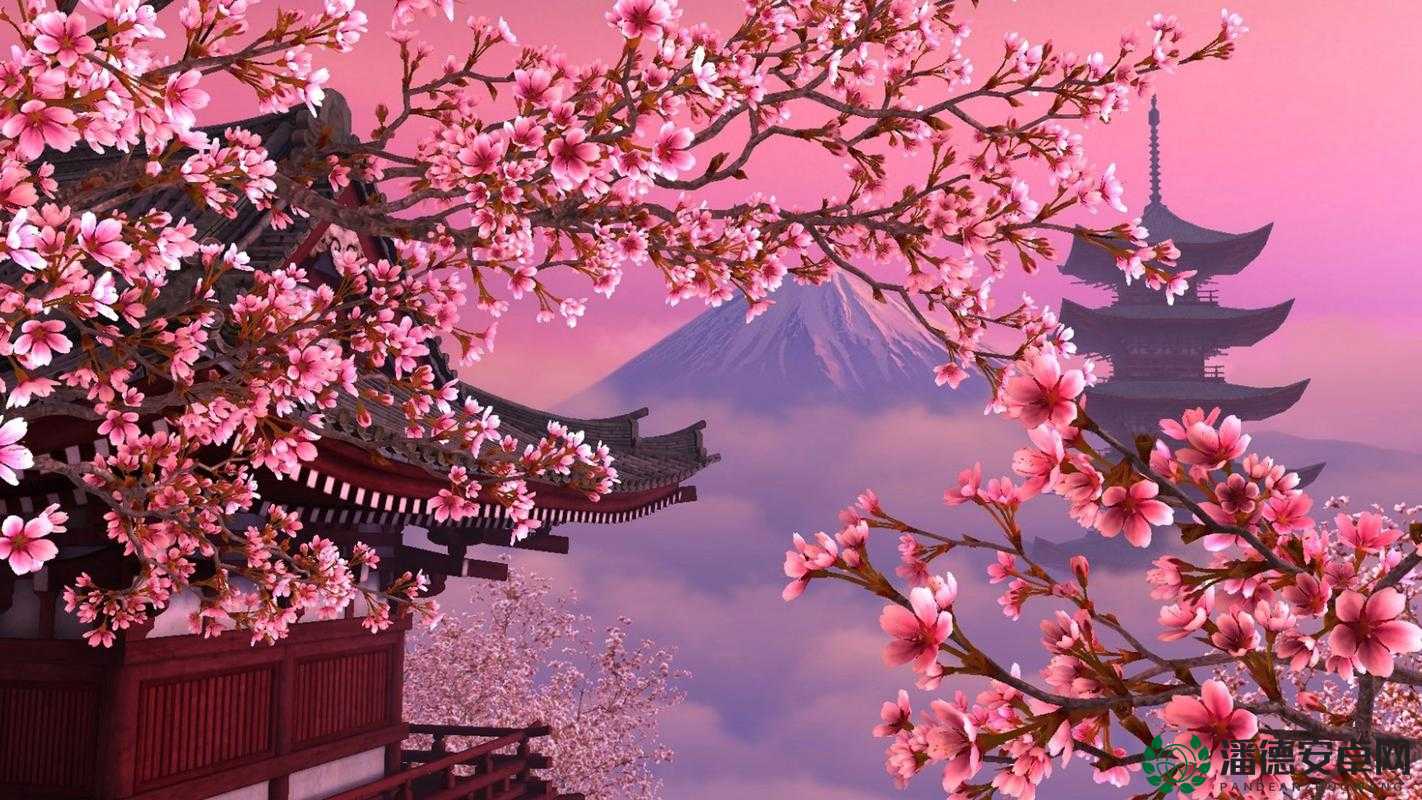 樱花官网官方入门网站网页版：开启精彩探索之旅