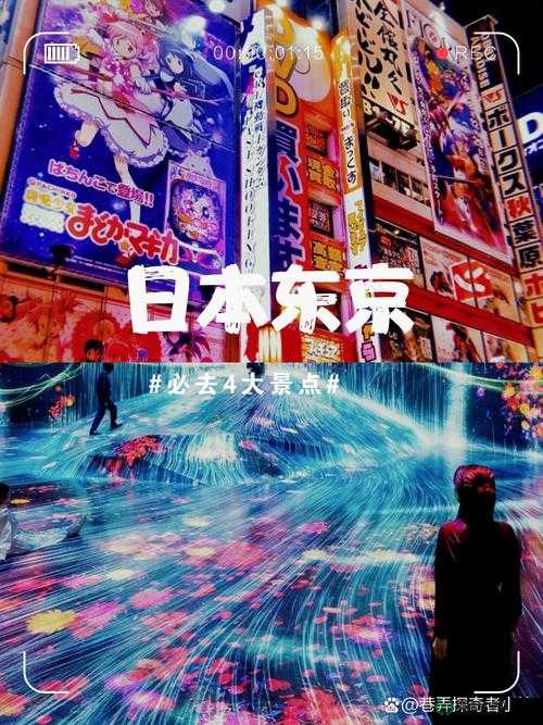 1819 岁 macbookpro 日本的那些事：从秋叶原到涩谷