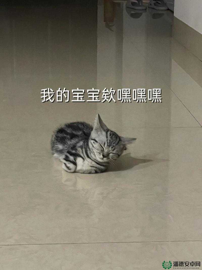 嘿我的宝贝宝贝你今天的妆很 OK 真是让人眼前一亮呢