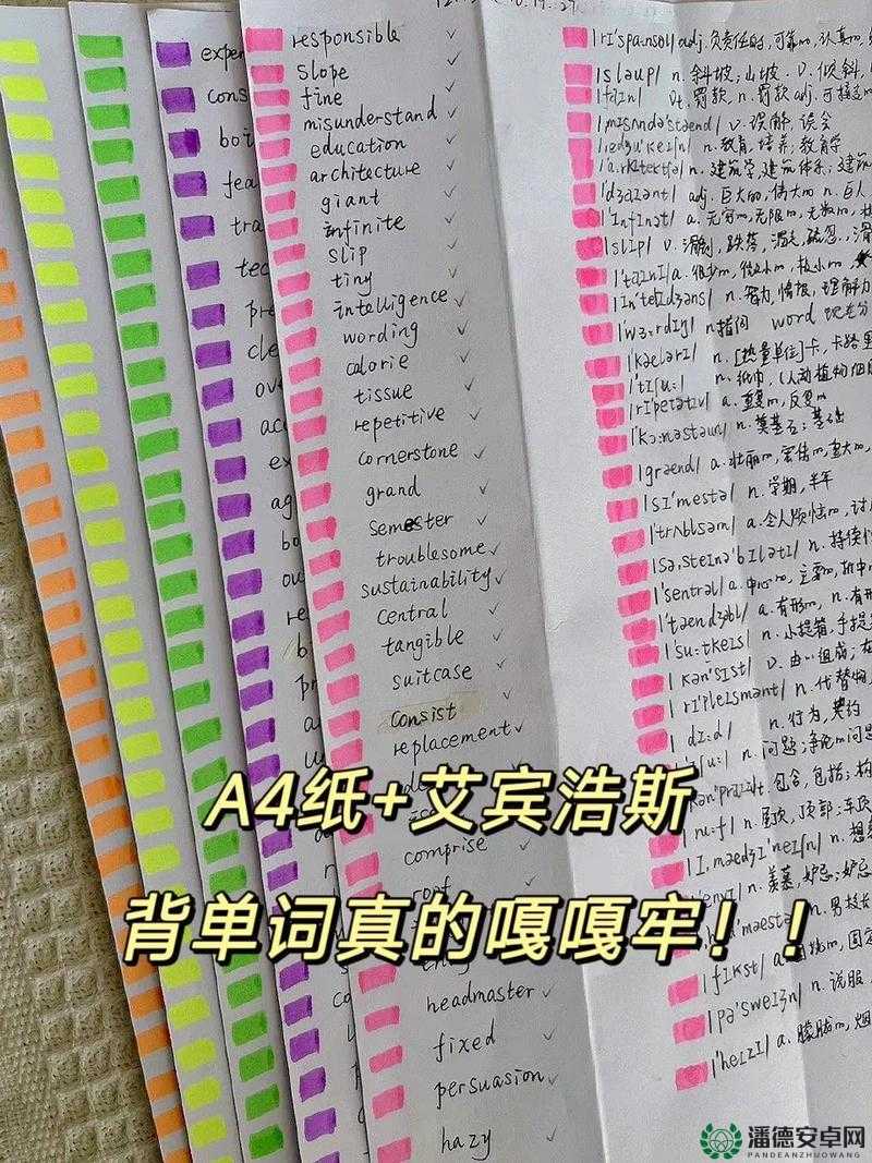 双楠：学霸与鸡的单词之旅