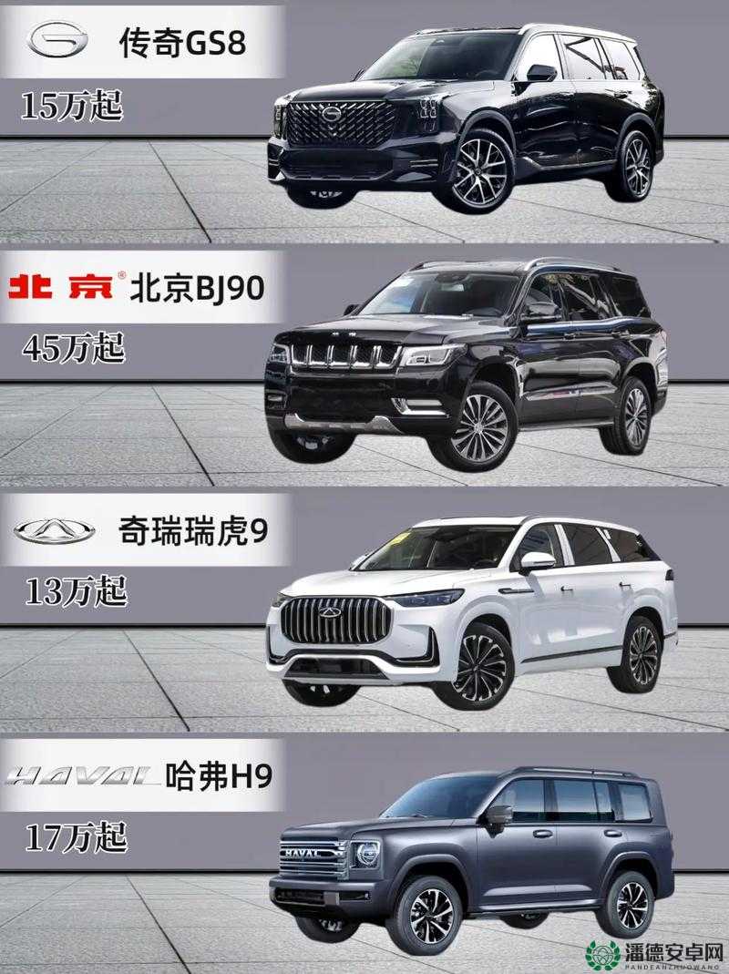 国产 SUV 在欧洲的热门之选：其优势特点及市场影响力分析